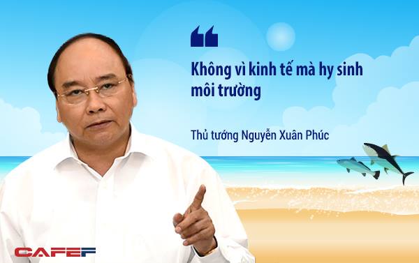 Những phát ngôn quan trọng của lãnh đạo Chính phủ sau khi Formosa nhận trách nhiệm - Ảnh 1.