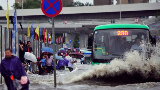 Trung Quốc: Lụt lớn đẩy cá sấu ra đồng - Ảnh 1.