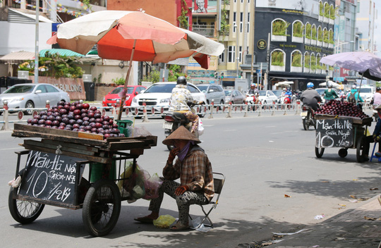 Mận Trung Quốc gắn mác Hà Nội trên đường phố Sài Gòn - Ảnh 1.
