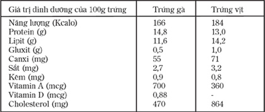 Cho trẻ ăn bao nhiêu trứng mỗi ngày là đủ? - Ảnh 1.