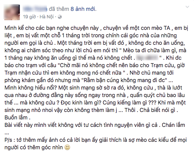 Hà Nội: Cô gái bị tố bỏ đói chú mèo liệt 1 tháng, thản nhiên nói chờ mãi nó không chết? - Ảnh 1.