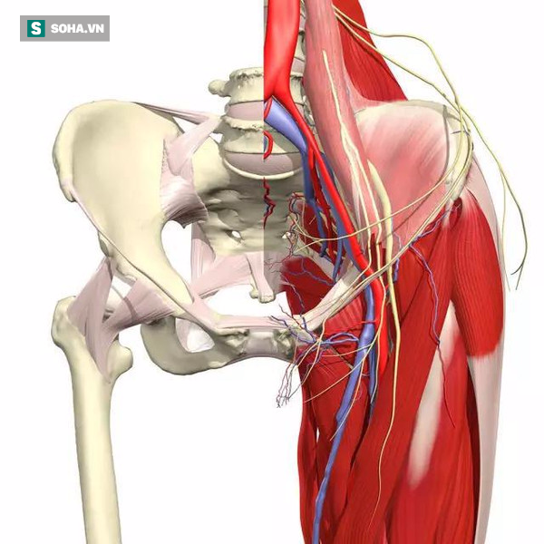 Tác hại kinh khủng của rượu khiến người uống phải tháo khớp háng - Ảnh 2.