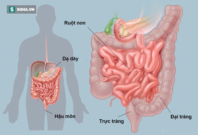 Ăn một củ hành tây có thể loại bỏ 8 loại bệnh - Ảnh 1.