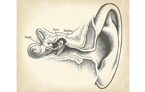 Bạn vẫn nghĩ rằng mình đúng nhưng thực ra đó lại là 6 thói quen có hại cho tai - Ảnh 1.