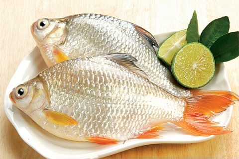 Những bộ phận của cá ăn vào có thể gây ngộ độc - Ảnh 1.