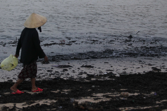 Sau lũ, rác thải ngập bờ biển Quảng Bình - Ảnh 1.
