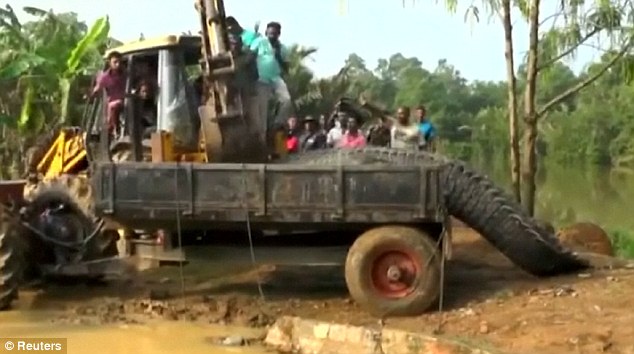 Cá sấu thành tinh dài hơn 5 mét, nặng cả tấn xuất hiện gần thành phố khiến dân khiếp vía - Ảnh 4.