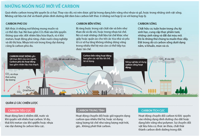 Nghiên cứu kỳ lạ: Carbon không phải kẻ thù của hành tinh, cả thế giới cần phải nhìn nhận lại điều đó - Ảnh 1.