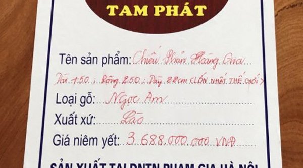 Cặp phản gỗ hoàng gia lớn nhất Việt Nam giá 5,5 tỷ - Ảnh 4.