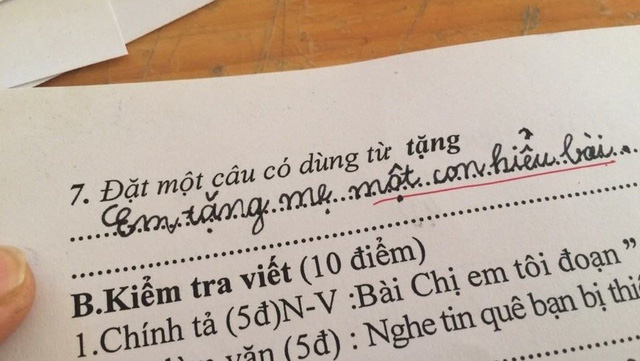 Học sinh đặt câu “Em tặng mẹ một con hiểu bài” khiến dân mạng đứng hình - Ảnh 1.