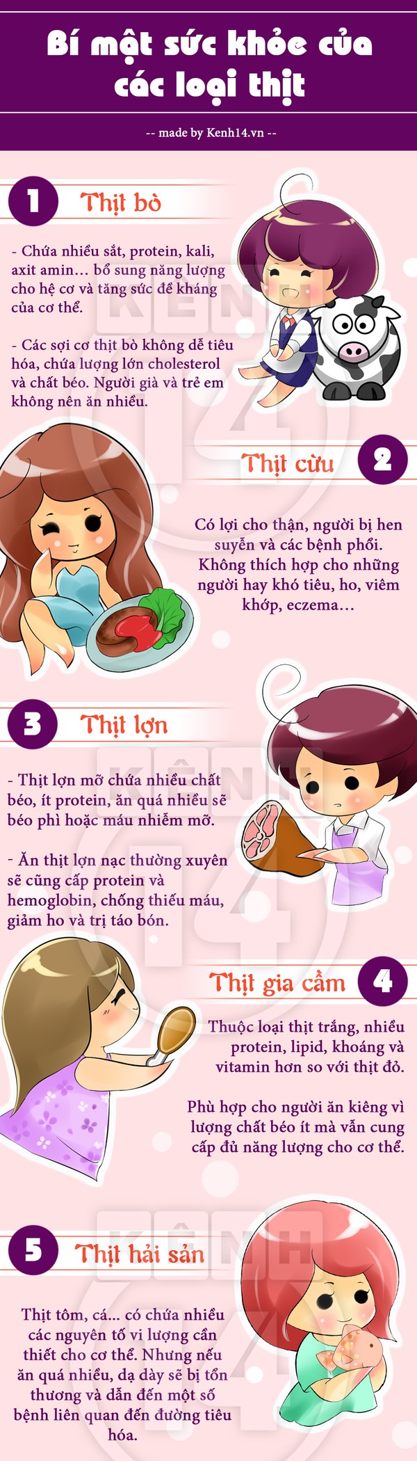 Khám phá những lợi ích bất ngờ từ các loại thịt hàng ngày sử dụng mà bạn không biết - Ảnh 1.