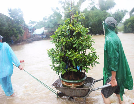 Xuất hiện đợt lũ thứ tư liên tiếp ở Bình Định - Ảnh 1.