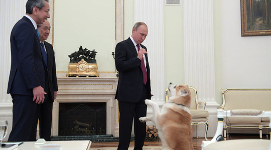 Ông Putin dắt chó cưng đi phỏng vấn làm phóng viên hết hồn - Ảnh 1.