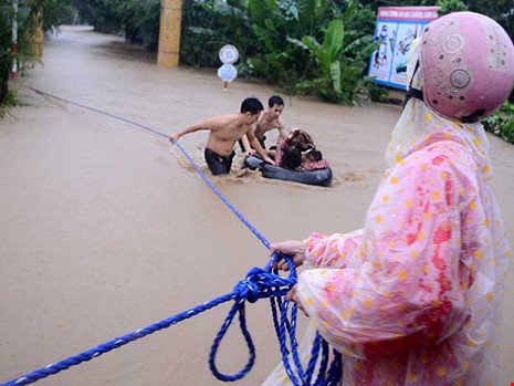 Phú Yên: 3 người đu trên cây bạch đàn trước nhà chờ ứng cứu - Ảnh 3.