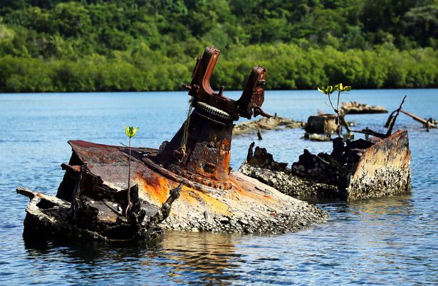 Xác máy bay, tàu chiến nằm la liệt tại hòn đảo thiên đường ở Thái Bình Dương - Ảnh 5.