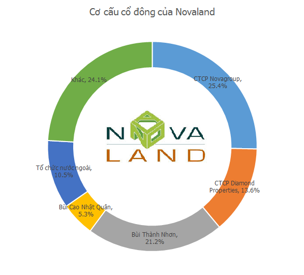 Novaland đang nằm trong tay ai? - Ảnh 1.