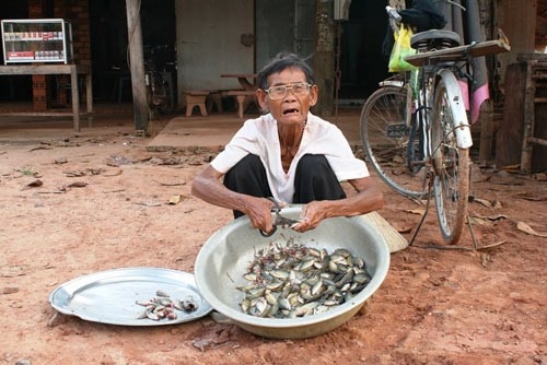 Cay mắt với câu chuyện của bà cụ Noel và cỗ xe tuần lộc ở Tây Ninh - Ảnh 1.