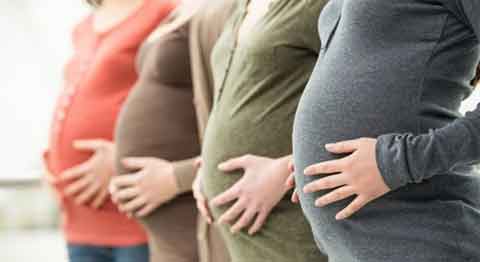 Chấn động Hà Lan: Hàng loạt phụ nữ bị bơm nhầm tinh trùng - Ảnh 1.