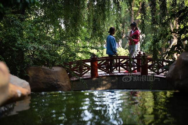 Việc nhẹ lương cao dành cho phái đẹp: Ngủ thử trong nhà sang, lương trên 60 triệu đồng mỗi tháng - Ảnh 11.