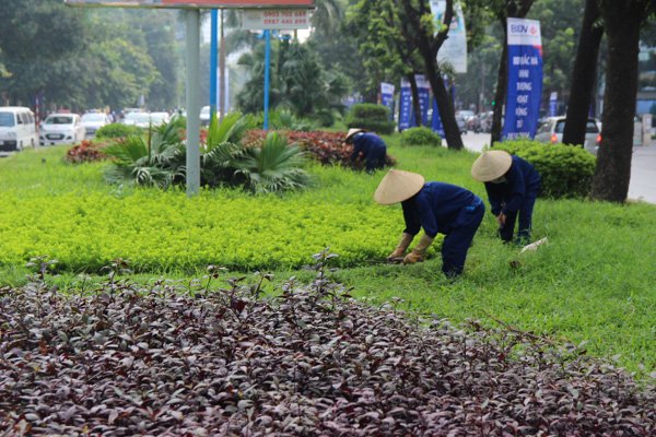 Hà Nội cắt cỏ trở lại sau 3 tháng tạm dừng - Ảnh 12.