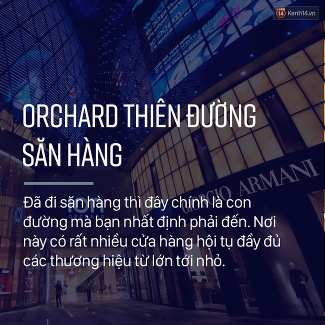 14 chiêu phải nhớ nếu bạn muốn đi săn hàng sale ở Singapore mùa cuối năm - Ảnh 12.