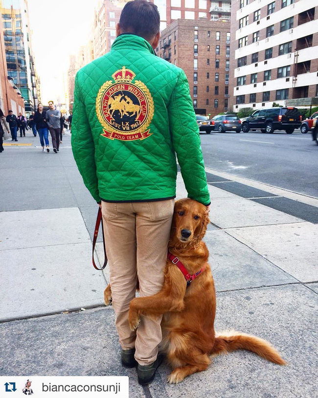 Ngôi sao của New York: Cô chó chỉ thích ôm chân người khác - Ảnh 12.
