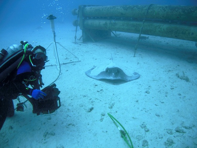 Tham quan phòng nghiên cứu dưới đáy biển như trong phim khoa học viễn tưởng - Ảnh 13.