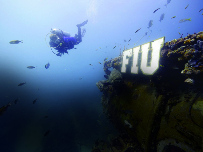 Tham quan phòng nghiên cứu dưới đáy biển như trong phim khoa học viễn tưởng - Ảnh 16.