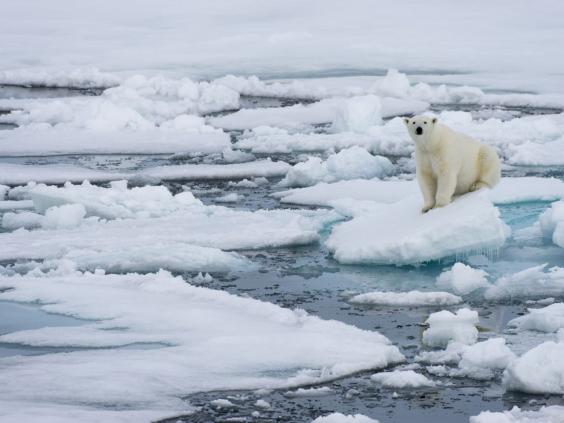 Lần đầu tiên sau 100.000 năm, băng tại Bắc Cực có thể tan chảy hoàn toàn - Ảnh 2.
