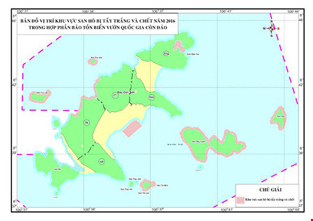 Báo động tình trạng san hô tại Côn Đảo bị tẩy trắng và chết - Ảnh 1.