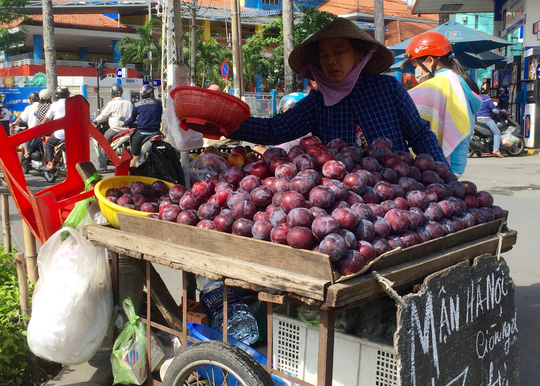 Mận Trung Quốc gắn mác Hà Nội trên đường phố Sài Gòn - Ảnh 2.