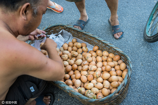 Nắng nóng kinh hoàng, trứng gà nở giữa đường cái 50 độ C - Ảnh 2.