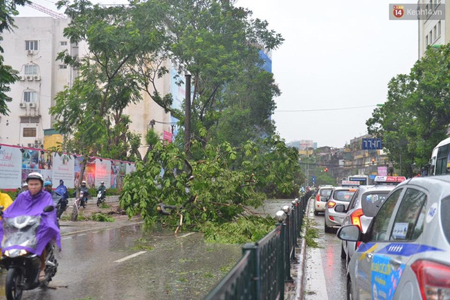 Hà Nội: Bất chấp nguy hiểm, gió to, người dân lao vào cứu 2 phụ nữ bị cây đè do bão - Ảnh 1.