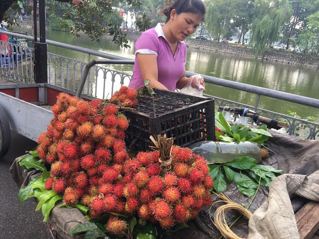 Nông dân khóc ròng giá rẻ, ra Hà Nội chôm chôm đắt gấp 8 lần - Ảnh 2.