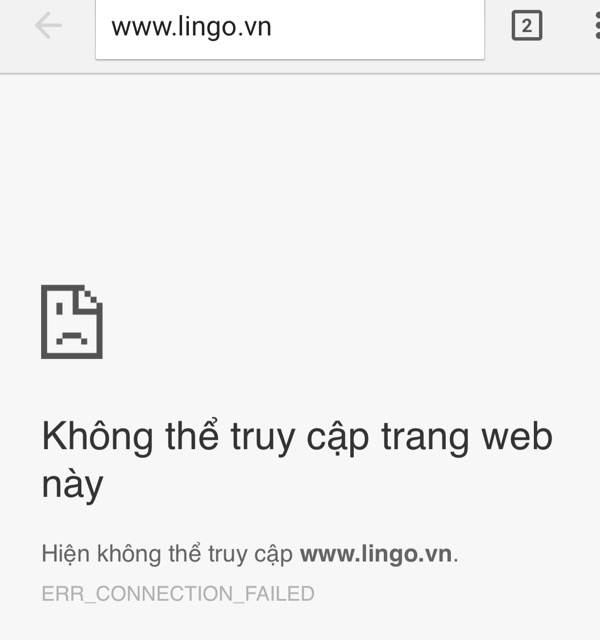 Website thương mại điện tử Lingo.vn đóng cửa? - Ảnh 1.