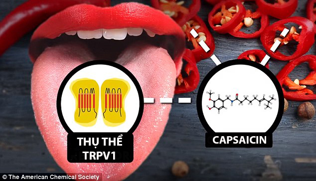 Uống nước lạnh để hết cay sau khi ăn ớt không phải cách hay nhất đâu - Ảnh 1.