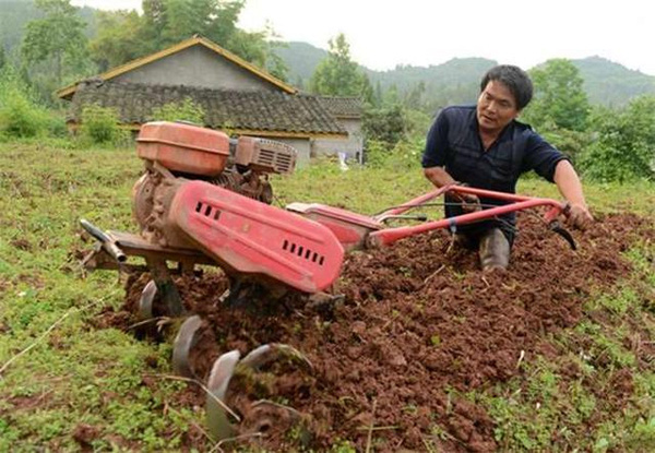 Những gì người đàn ông nghèo, cụt chân này làm cho vợ hơn hẳn ngàn lần các anh soái ca - Ảnh 2.