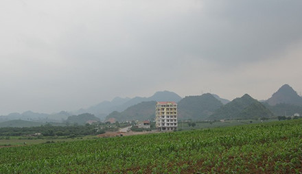 Ngày mai, trùm ma túy Tàng Keangnam hầu tòa lần 3 - Ảnh 1.