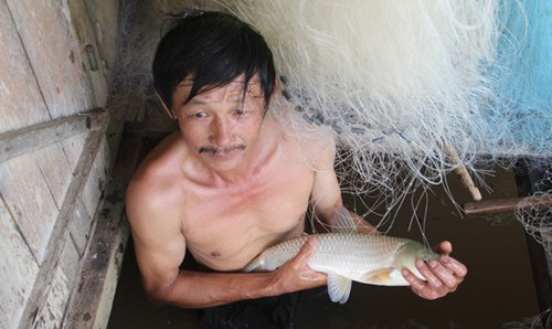 Cá nuôi lồng chết hàng loạt trên sông Nậm Nơn - Ảnh 1.