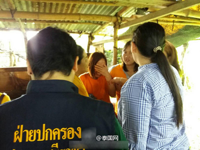 Tự ý tách đoàn, nữ du khách Trung Quốc mất tích trong trại hổ lớn nhất thế giới ở Thái Lan - Ảnh 2.