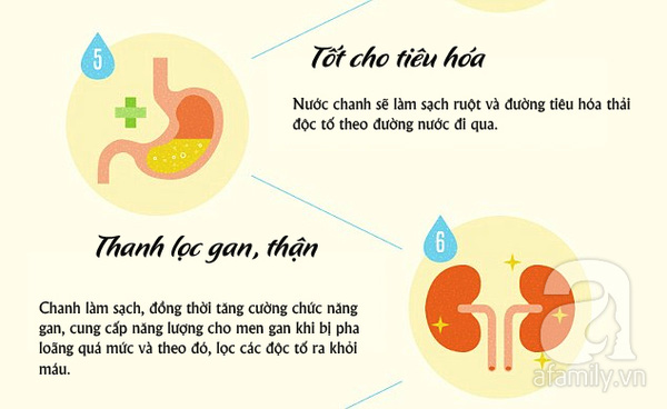 10 lý do bạn nên uống nước chanh ấm mỗi sáng - Ảnh 3.