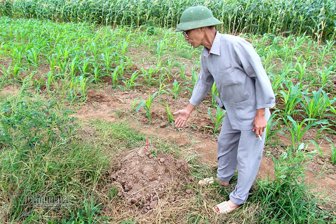 Hà Nội: Ngã bổ chửng vì nghĩa trang mọc sát nách - Ảnh 6.