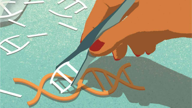 Tìm hiểu về CRISPR - công nghệ chỉnh sửa gen đột phá mà Trung Quốc vừa mới vượt mặt Mỹ - Ảnh 2.