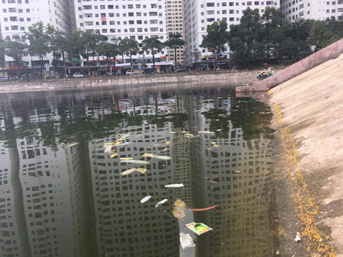 Ông Tây chụp ảnh bao cao su ngập hồ Linh Đàm: Buồn, tức giận nhưng không ngạc nhiên! - Ảnh 3.