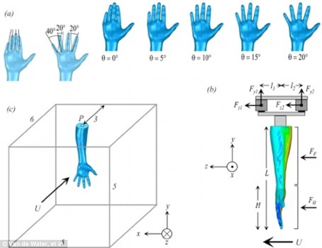 Muốn bơi nhanh, quên cách để tay như cũ đi - tay phải để thế này mới đúng! - Ảnh 3.