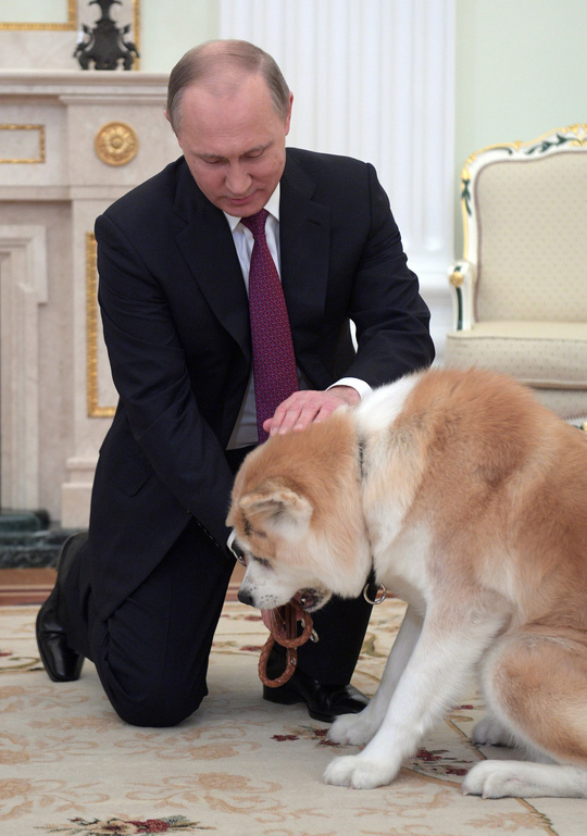 Ông Putin dắt chó cưng đi phỏng vấn làm phóng viên hết hồn - Ảnh 2.