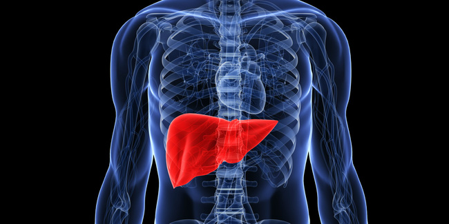 9 dấu hiệu cảnh báo và 3 bước thải độc gan ai cũng phải biết để bảo vệ cả gan và tim - Ảnh 3.