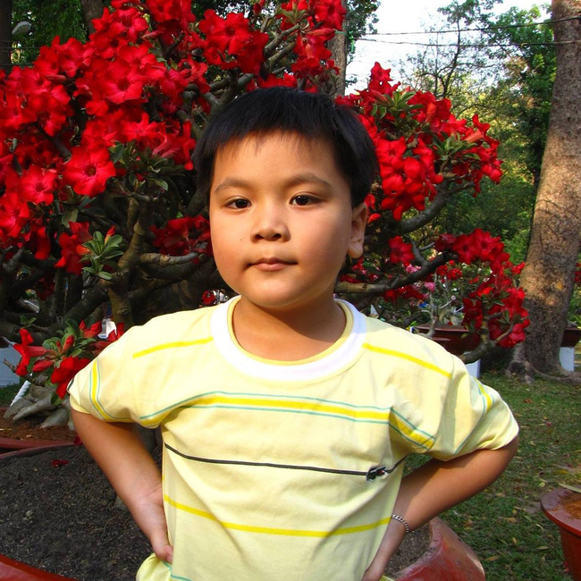 Bạn làm gì khi 11 tuổi? Còn cậu bé thần đồng này đã giành 5 HCV toán quốc tế - Ảnh 3.