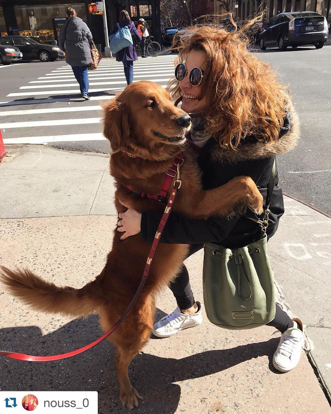 Ngôi sao của New York: Cô chó chỉ thích ôm chân người khác - Ảnh 21.