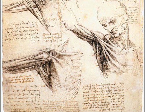 Những bí mật xoay quanh các bản thiết kế của Leonardo da Vinci - Ảnh 14.